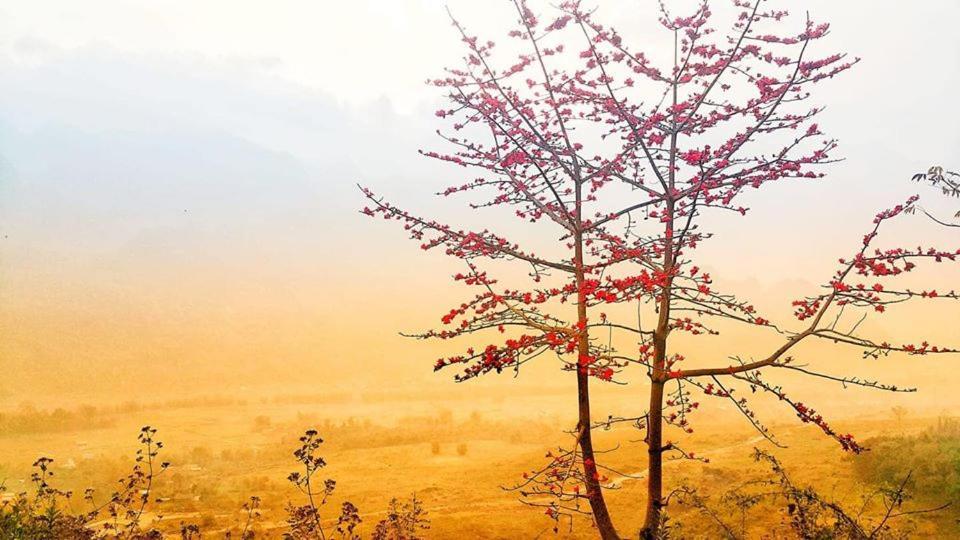 Diem Dung Chan Can Ty Ha Giang Exteriör bild