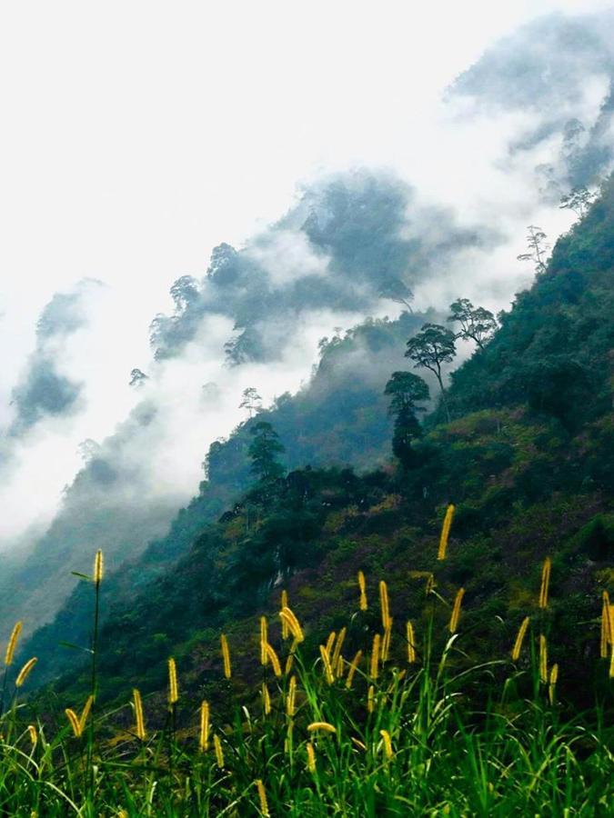 Diem Dung Chan Can Ty Ha Giang Exteriör bild
